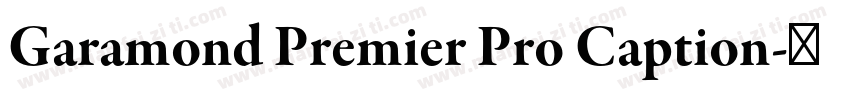 Garamond Premier Pro Caption字体转换